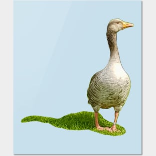 Mother Goose Posters and Art